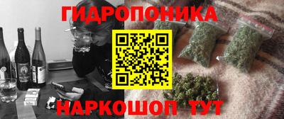 гидра Рязань