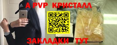 гидра Рязань