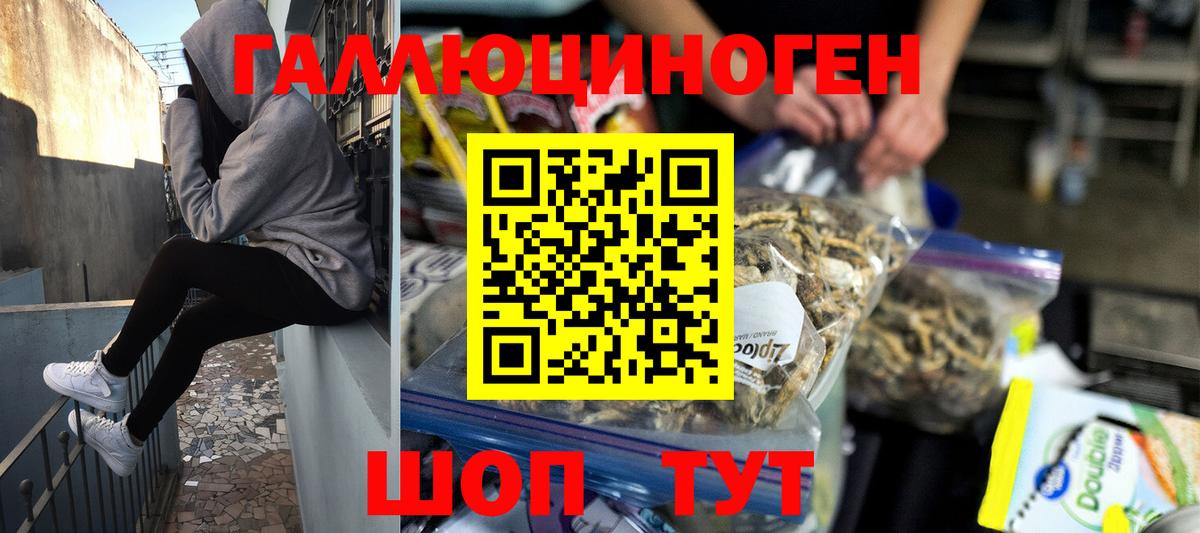 Можга  Галлюциногенные грибы MAGIC MUSHROOMS  Псилоцибиновые грибы Magic Shrooms  Вход с VPN 