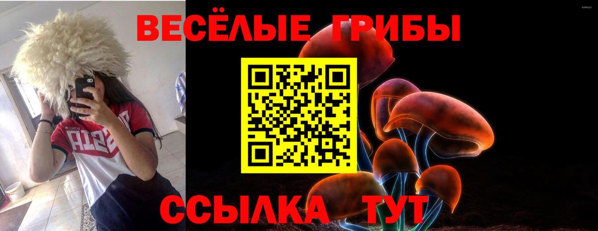 Галлюциногенные грибы Psilocybine cubensis Можга